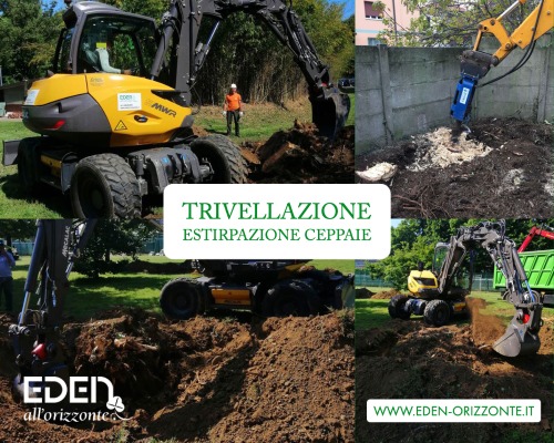 trivellazione estirpazione piante