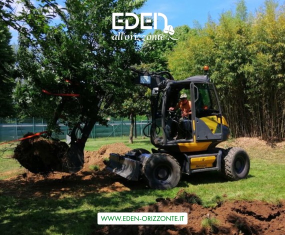 piantumazione aree verde pubblico
