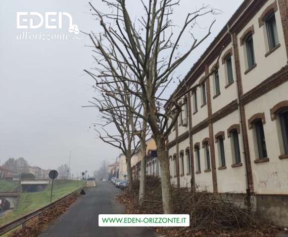 potature stagionali piante