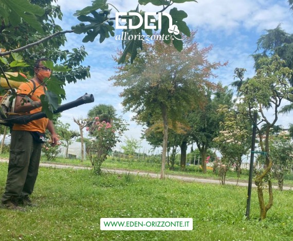 trattamenti fitosanitari verde pubblico