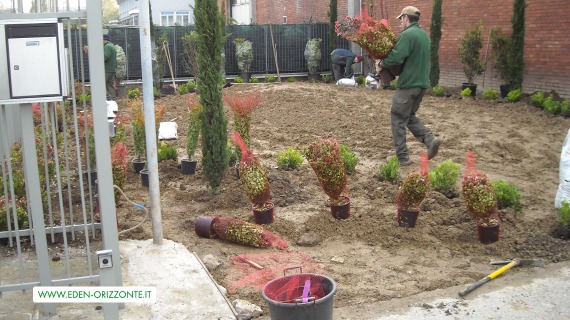 giardino aziendale piantumazione
