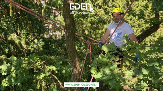 potatura tree climbing in provincia di milano