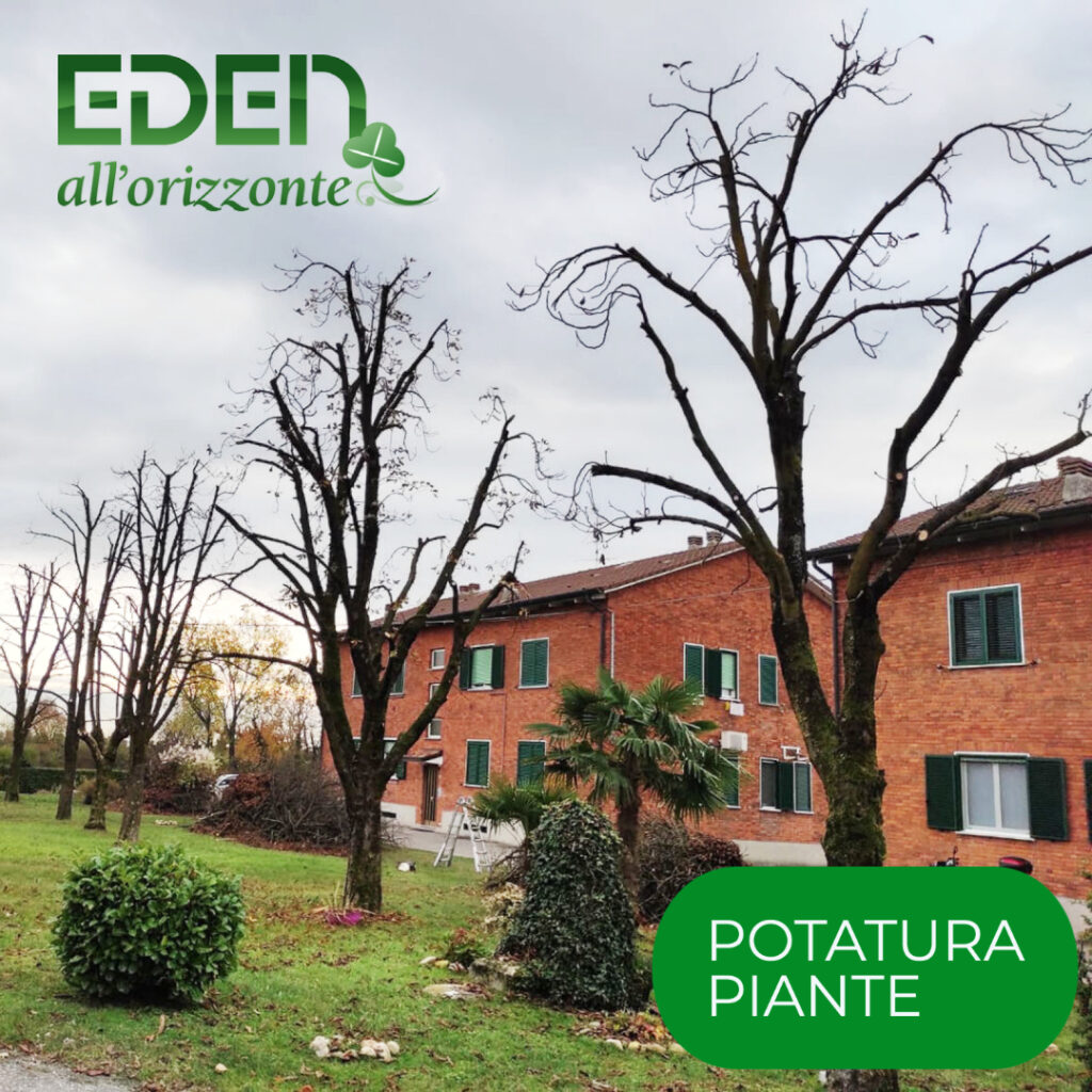 POTATURA PIANTE, EDEN