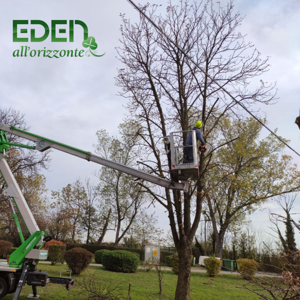POTATURA PIANTE, EDEN