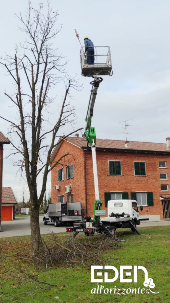 POTATURA PIANTE, EDEN