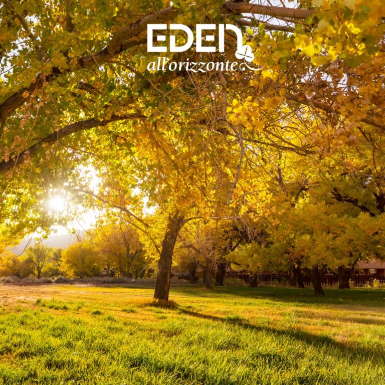 EDEN - CURA GIARDINO AUTUNNALE