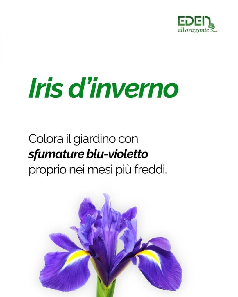 EDEN - Lavori invernali in giardino