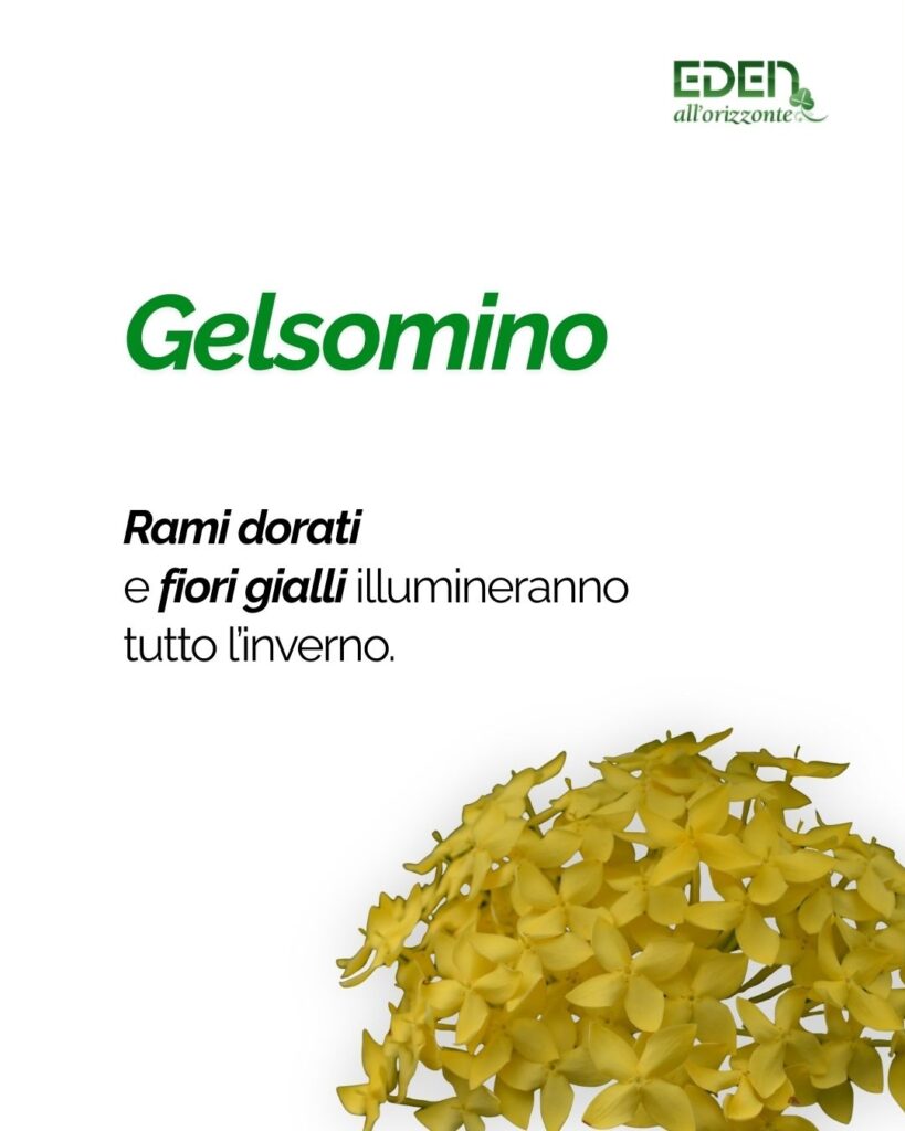 EDEN - Lavori invernali in giardino