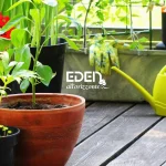 EDEN - ORTO IN GIARDINO A young green plant in a clay pot, surrounded by gardening tools and other plants.