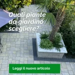EDEN Quali piante da giardino scegliere - A garden area with stone paving, plants, and a palm tree, featuring a caption about choosing garden plants.