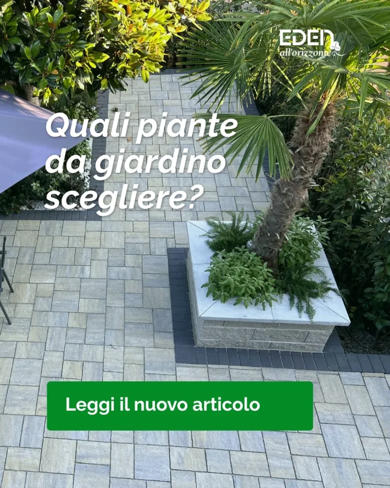 EDEN Quali piante da giardino scegliere - A garden area with stone paving, plants, and a palm tree, featuring a caption about choosing garden plants.