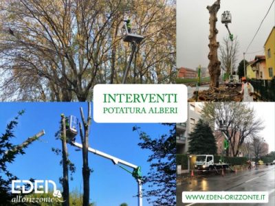 interventi potatura alberi su strada